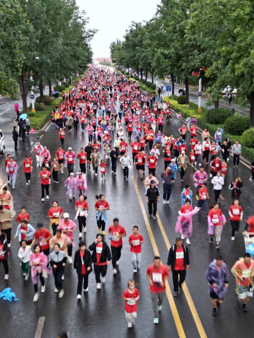 68ae9370ca3d9 68ae9370ca3d9