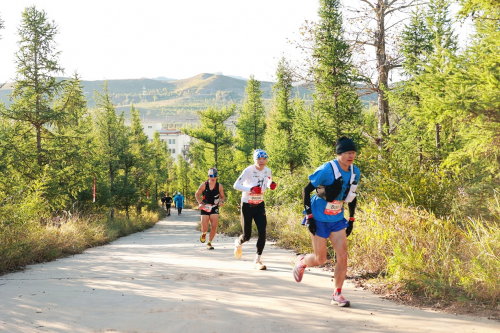 68d29130f0203 68d29130f0203