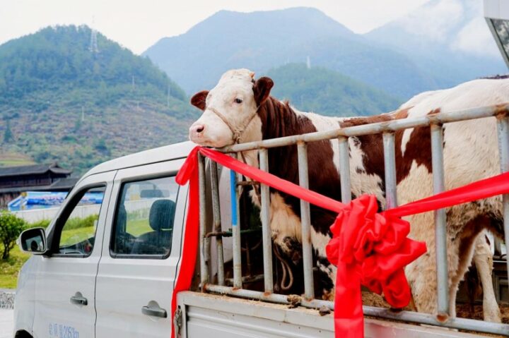 20251124085604422987522