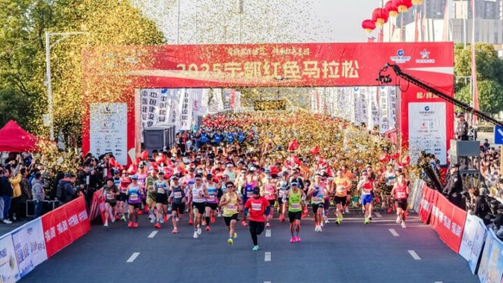 202511240857502120178646