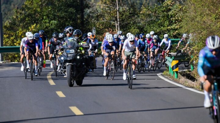 4f44f8a942aac4731a6b743feb8d0b61