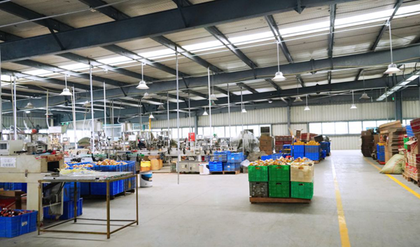 56d3ac9cecfb4e4c0407d0ed44046d39