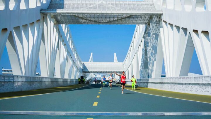 6e54fbd06ace41b1ae138aa243fb9746