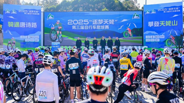 d917e6e1d0cca8d7a56bfd1f435dfd11