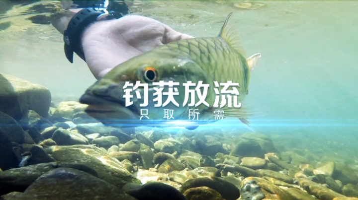 202512040927091854124568