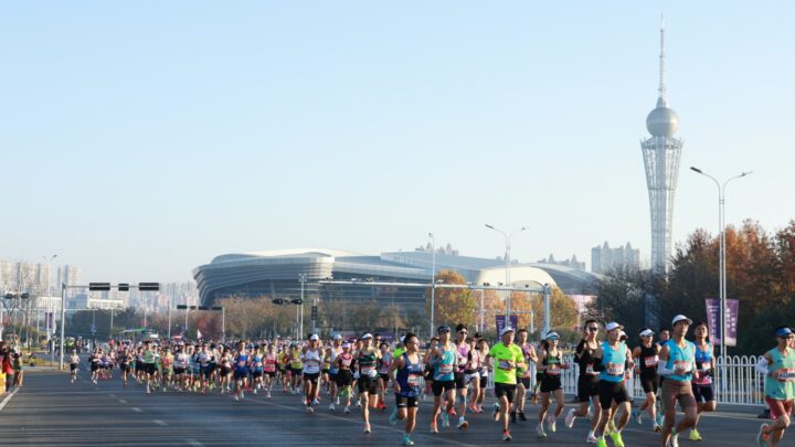 6b5f0545a4db19a8e1773102829bea1d