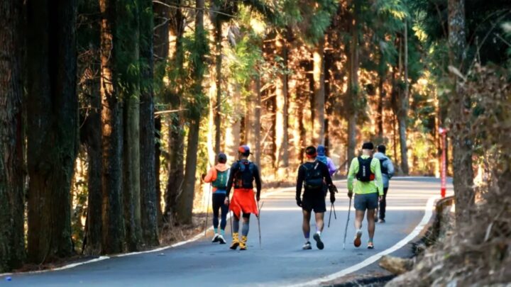 c57c342735ef4903f9bf8fb82f4bb6b4